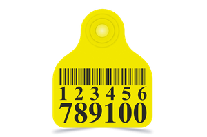Plastic Barcode Laser Marking